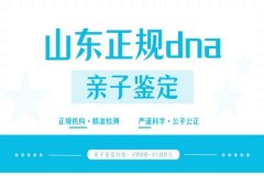 济南亲子检测的流程是怎样的？