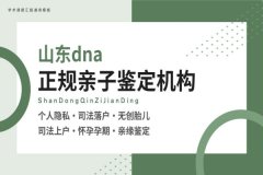 最新！济南亲子鉴定中心地址列表(附2026鉴定新地