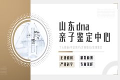 最新！济南亲子鉴定中心地址列表(附2026鉴定新地